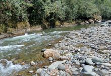 Pejibaye River Beach景点图片