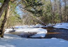 Fales River Trail景点图片