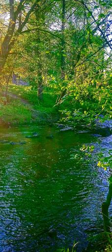 Park-Zhytomyrs'ka city council