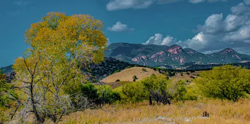 Brown's Canyon Ranch