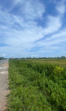 Keta Lagoon Protected Area-凯塔