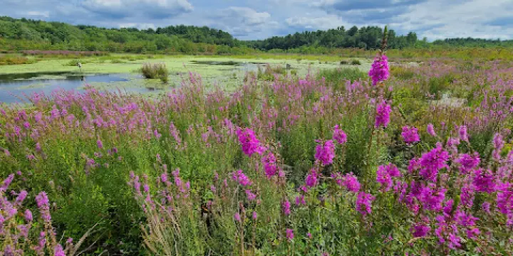 Stony Brook Wildlife Sanctuary