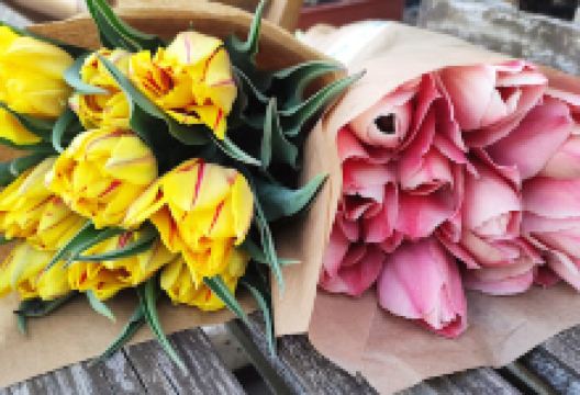 DeMa augalai购物图片