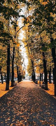 Ivan Kotlyarevsky Monument-波尔塔瓦