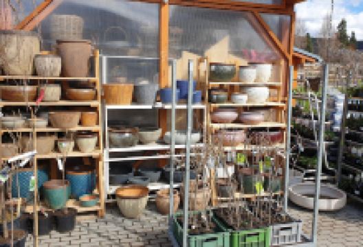 Garden Center Moureček购物图片