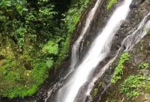 Hacienda Flor de Lirio (Propiedad Privada-Prohibido el Paso-Private Property-No Trespassing)景点图片