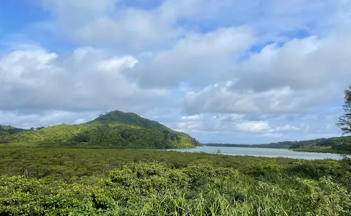 浦內川