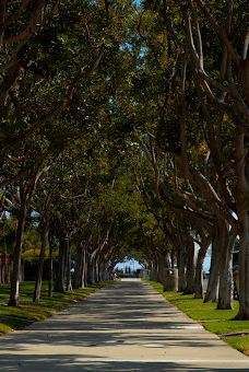 Doris Walker Overlook-达纳点