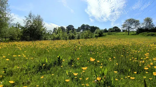 Cotton End Park