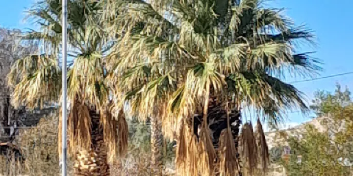 Twentynine Palms Art Gallery