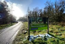 Deelerwoud景点图片