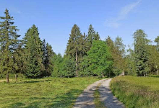 Farnachmoos Nature Reserve景点图片