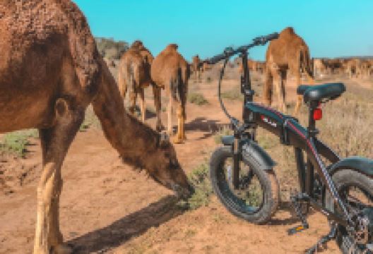 Shine n Ride Agadir Ebike Tour and Rental购物图片