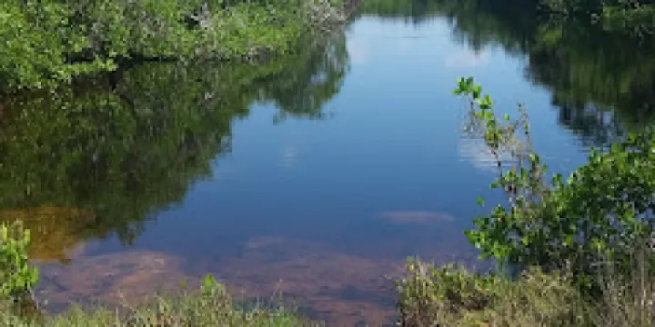 Tom Allen Memorial Butterfly House