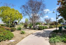 Heritage Springs Sculpture Garden景点图片