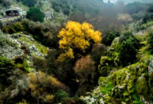 Barranco del río Aulencia景点图片