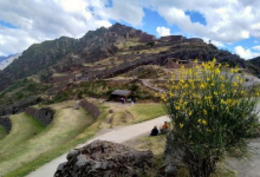 Plaza Constitucion景点图片