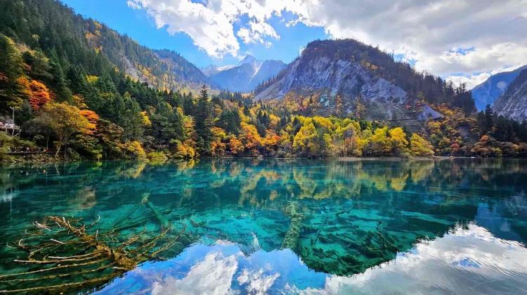 12-Day Chongqing+Chengdu Group Tours: Hongya Cave + Zhangjiajie + Jiuzhaigou National Park + Huanglong National Scenic Area + Fenghuang Ancient Town