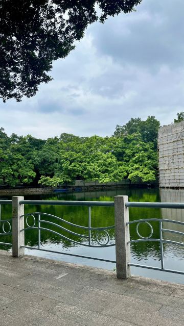 流花湖公园景点图片 11