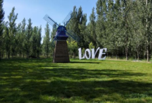 东光县大运河森林公园氧生园景点图片