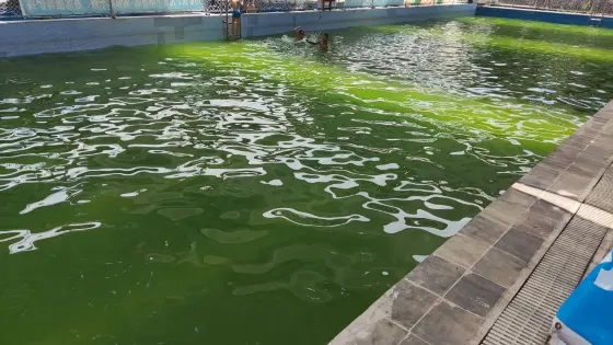 金碧溫泉