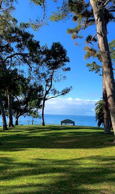 Pines Park-达纳点