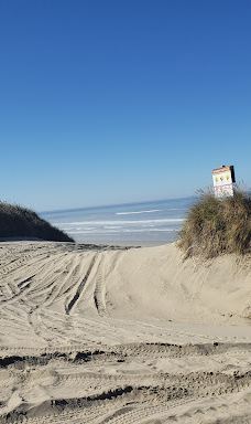 Sandland Adventures Inc-雷恩县