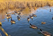 Southern Country Park景点图片