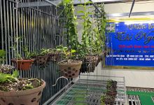 vườn lan thi nguyễn景点图片