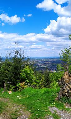 Park Cygański Las w Bielsku-Białej-别尔斯克 比亚瓦