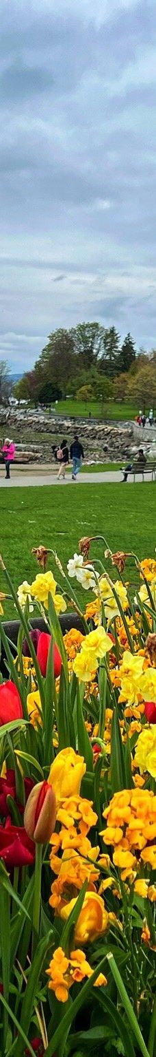 英吉利湾-温哥华