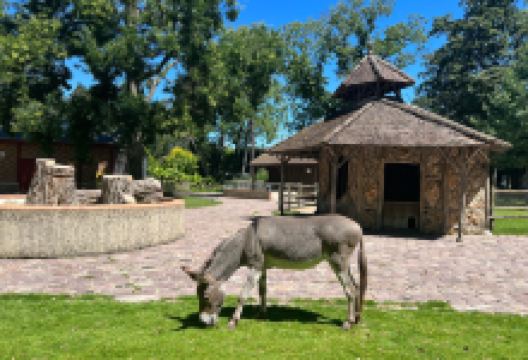 图尔植物园景点图片