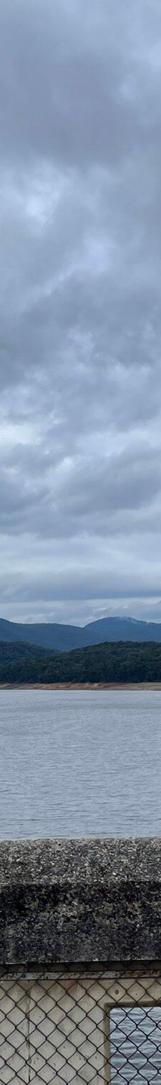 Maroondah Reservoir Park-希尔斯维尔