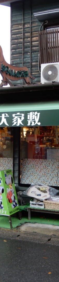 汤之坪街道-由布市