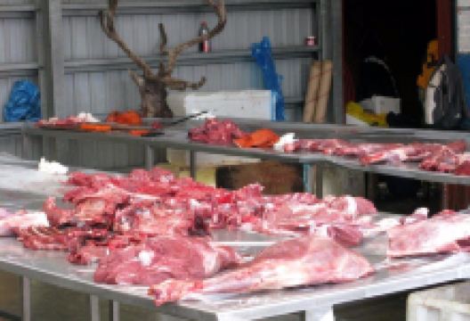 Hans Egedes hus景点图片