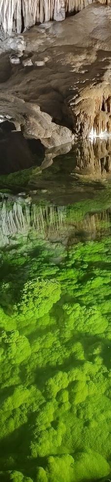 Grotte des Canalettes-科尔内拉德孔夫朗