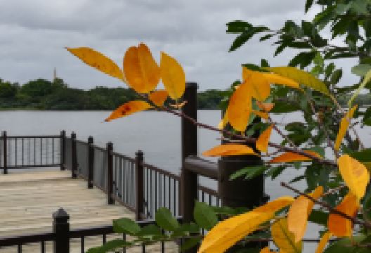 Beddagana Wetland Park景点图片