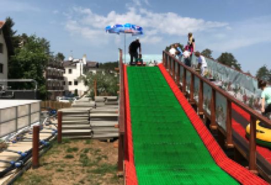 Dino Park景点图片