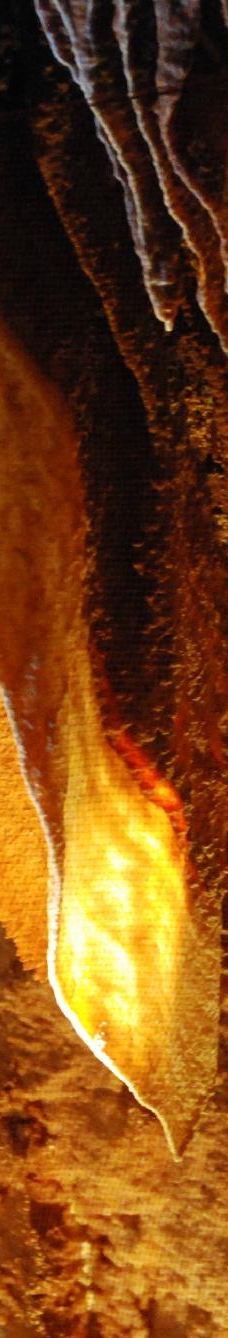 Jama - Grotta Baredine-Gedici