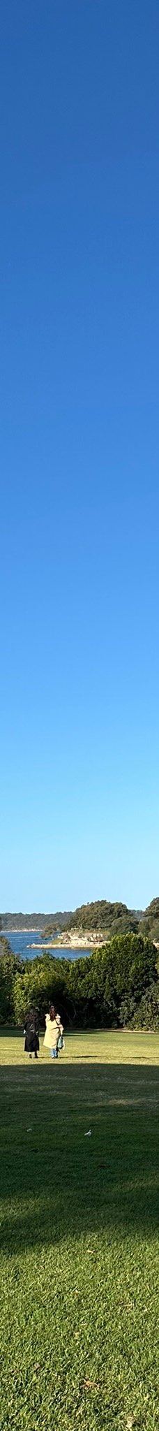 悉尼皇家植物园-悉尼