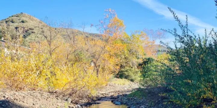 Tucker Wildlife Sanctuary