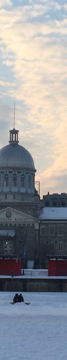 勃斯古集市-蒙特利尔