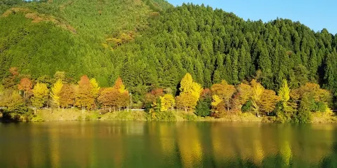 生野銀山湖 / 生野ダム