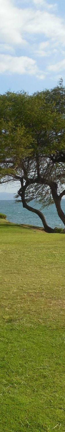 Kamaole Beach Park II-茂宜县