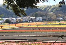 根搦前水田景点图片