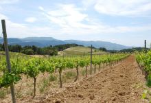 Domaine des Escaravailles景点图片