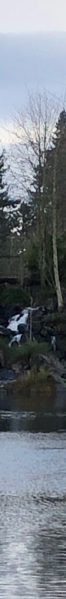 Talking Water Gardens-奥尔巴尼