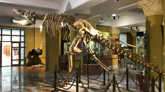 Archeology Museum