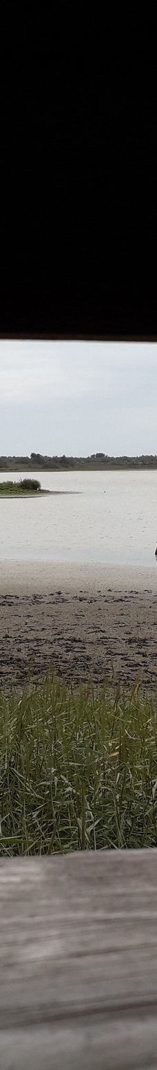 Domaine de la Palissade-阿尔勒