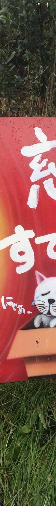 Gotanjoji Temple-越前市